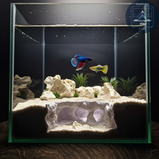 Atlantis Crest Cave   Mythic Aquarium Decor for Fish, Shrimp, Reptiles Tank
