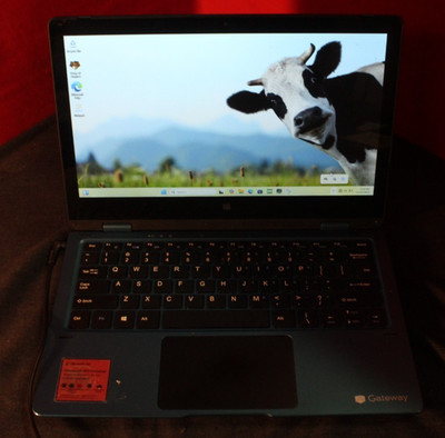 Gateway 2-in-1 GWTC116-2 11.5'' Celeron N4020 1.1GHz 4GB RAM 62gb HDD AO4073577