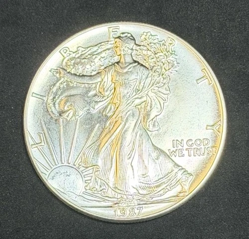 1987 American Silver Eagle 1 Oz .999 Fine Coin, No Reserve #609