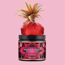 Kama Sutra Honey Dust Edible Body Powder Fragrance Soft Skin Feather Applicator