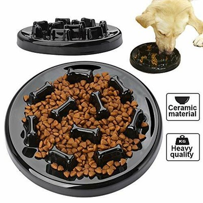 ceramic slow feeder cat bowl