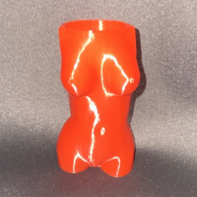 Bic lighter case