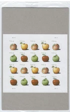 #4727-30 Apples Genuine Sheet of 20 in USPS Wrap Mint, NH - P.O. Fresh!