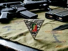 TAP PARA 2°REP - Military Paratrooper Badge or Patent (Legion & Armies)