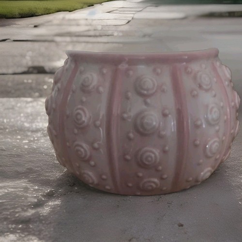 Sea Urchin Shell Bowl By Beachcomber