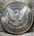 1891 Morgan Silver Dollar Brilliant Uncirculated Cameo With Mirrors