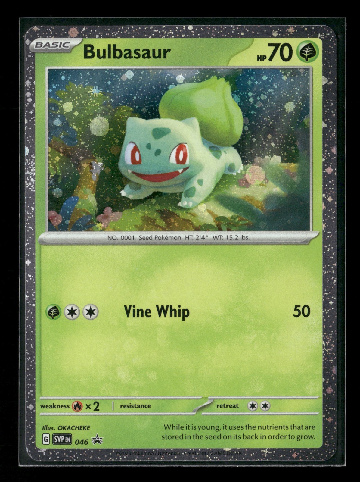 Bulbasaur SVP 046 Promo Holo Pokemon Card NM