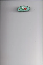 York-Adams Area Council CSP Pin