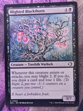 Blighted Blackthorn 90 Common Lorwyn Eclipsed Magic: The Gathering MP