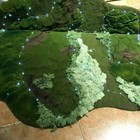 Foto 17 di 30