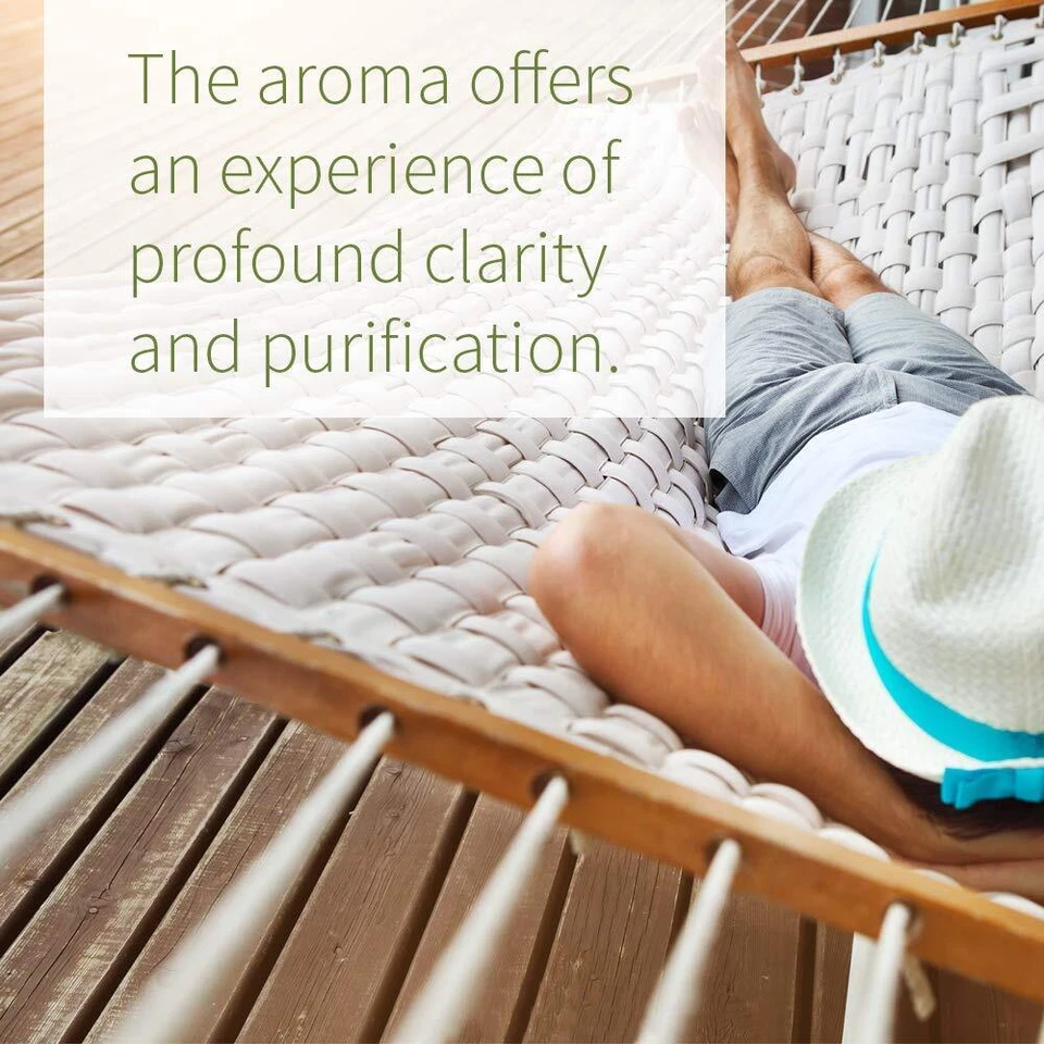 Aceite esencial de romero orgánico para difusor cabello y piel 0,5 fl oz 100 puro Foto 4 de 4