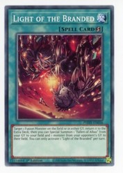 Light of the Branded PHHY-EN056 Common 1st Edition