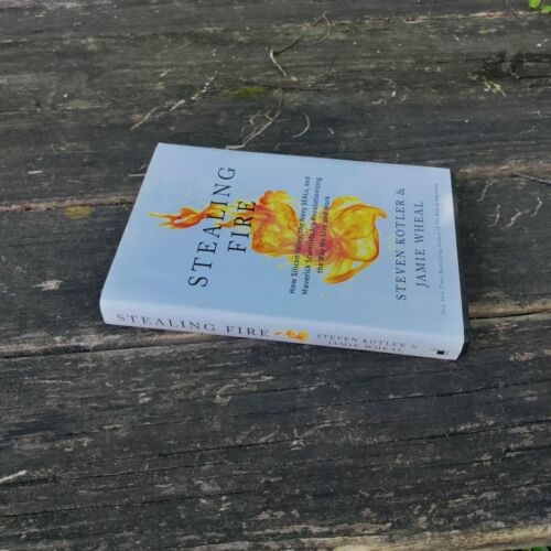 Stealing Fire von Steven Kotler und Jamie Wheal Hardcover Selbsthilfebuch - Bild 3 von 5
