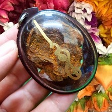 Amuleto Thai Luk Krok Cat Magic Talismano Potere Ricchezza Fortuna, Custodia Impermeabile