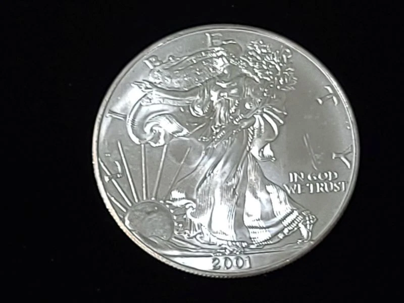 C*e様 2001 American Eagle Silver Dollar American Eagle 2001 Silver Bullion Coins for sale | eBay