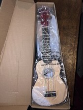 Everjoys Soprano Ukulele Beginner Pack-21 Inch With Rainbow Strings-NEW