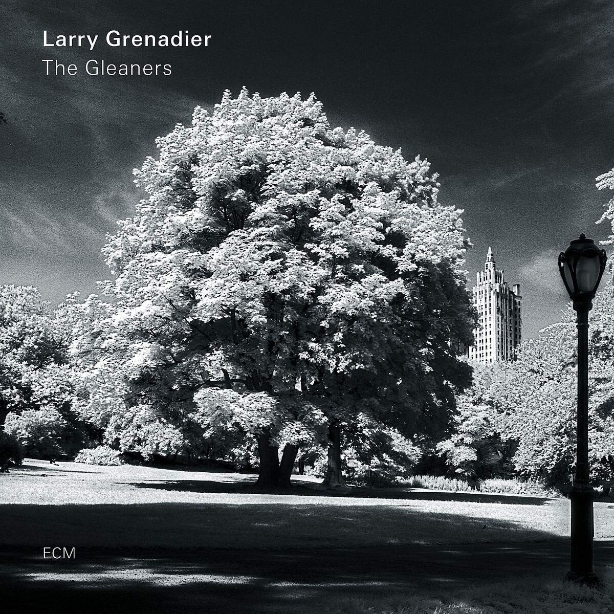 Larry Grenadier The Gleaners (CD) Album