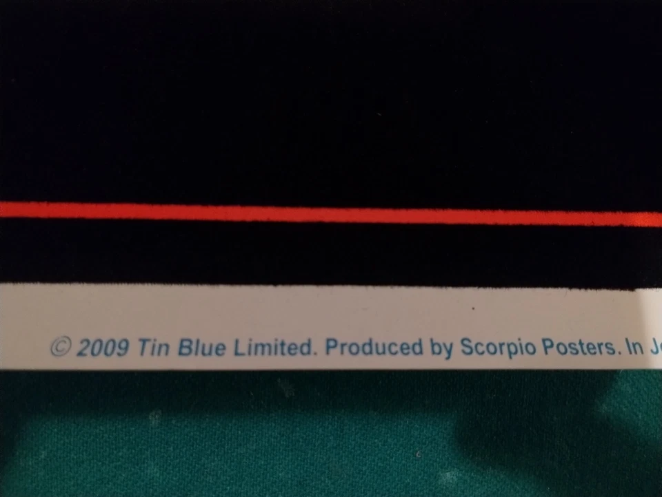 #1895 THE WALL - PINK FLOYD ( MEADOW) Black Light - POSTER  23"X35" 🔥🔥🔥💯 - Image 3 of 4