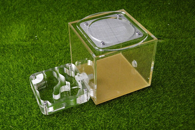 Clear Ant Insect Housing Nest Insect Feed Farm Formicarium Box