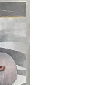 Black Rock Shooter The Game PlayStation Portable PSP NTSC-J CIB