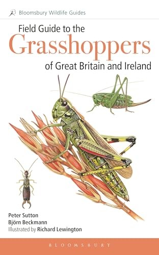 Field Guide Grasshoppers & Allies Gb/ire - Image 7
