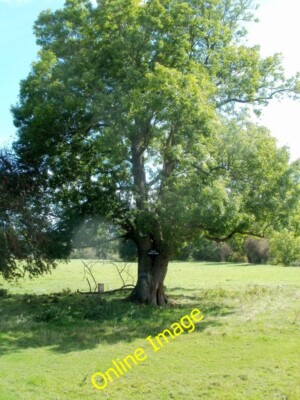 Photo 6x4 Would-be poachers beware, Llanellen Beili-glas There are two no c2011