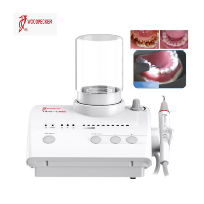 Woodpecker UDS-E LED Dental Ultrasonic Piezo Scaler Scaling Perio Endo 110V USA