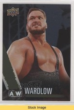 2021 Upper Deck AEW All Elite Wrestling Rainbow Foil Wardlow #49 READ 6f8