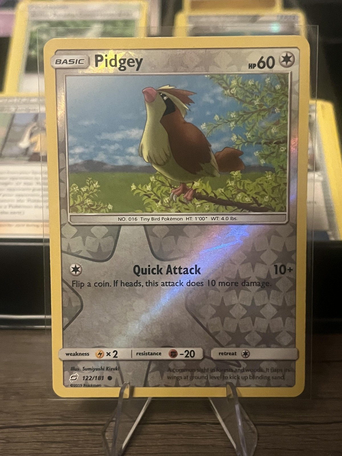 Pokemon TCG Pidgey 122/181 Reverse Holo Common 2019 Moderately Played Card