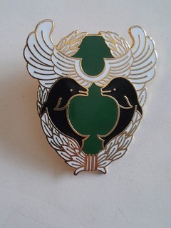 Brevet Insigne 13°RDP Cavalerie forces Spéciales