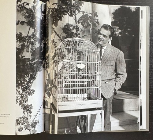 CELEBRITY PETS - EDWARD QUINN - 1ST ED. - 2014 - DJ - teNeues PUB. - LIKE NEW. - Foto 12 di 17