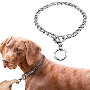 silver chain collar for dogs