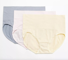 Breezies Women's Seamless Wide Band Brief Panty Set of 3 Lights Medium Size