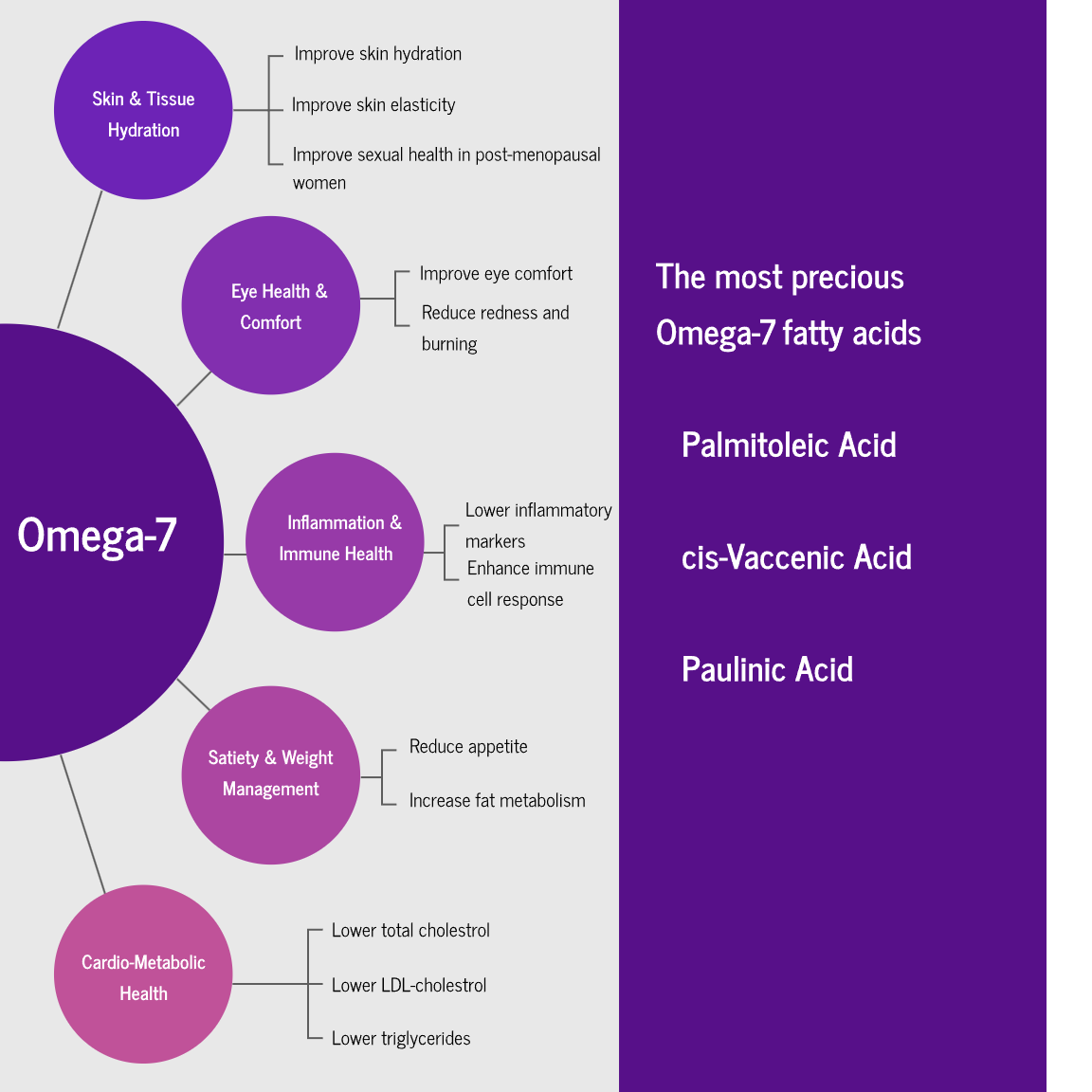 Candidan® Erase Kills Candida auris Natural Antifungal 16 OZ Spray