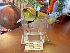 Musky Muskie Collector Vintage Lure Hand Made Hoochie Baby 12/14/2009 AYU #2