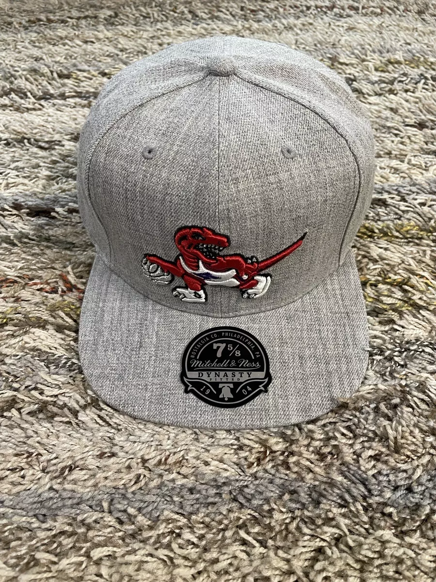 Grey sales raptors hat