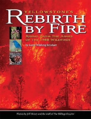 Yellowstone's Rebirth by Fire: Rising from the Ashes of the 1988 Wildfires - Foto 1 di 1