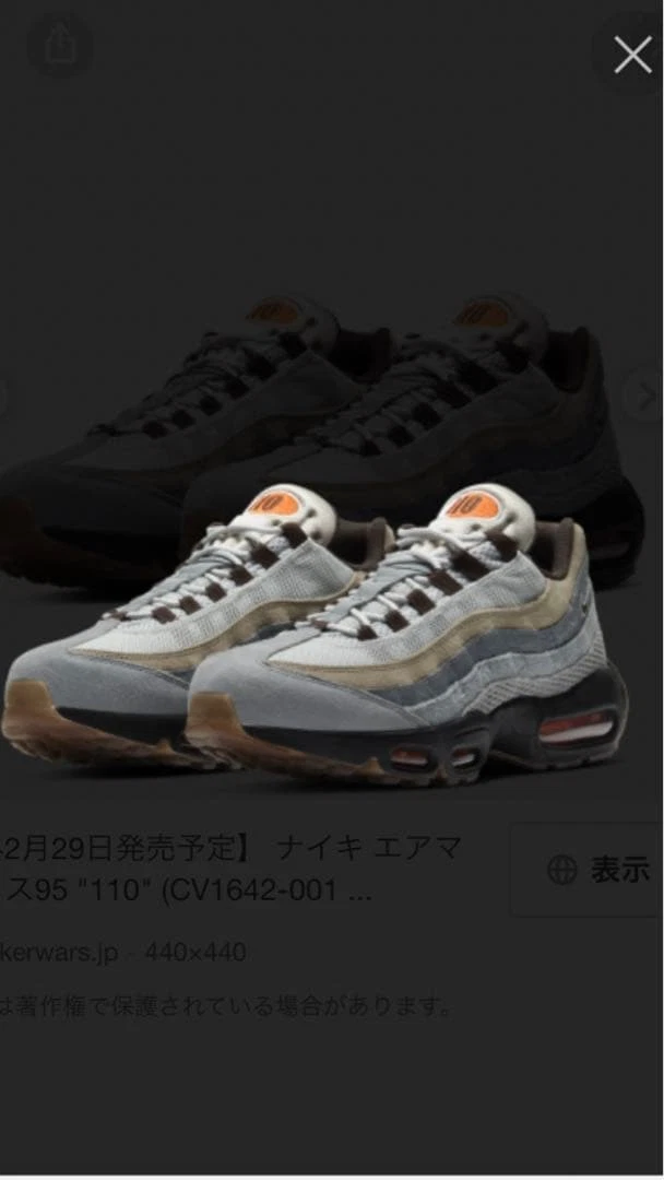 Nike Air Max 95 110 - CV1642-001 for Sale | Authenticity