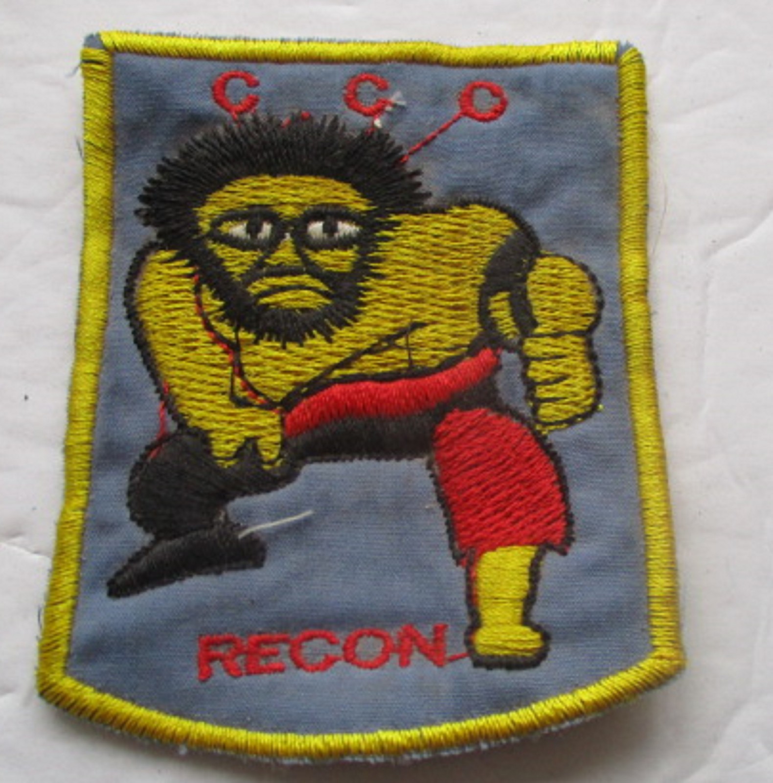 U.S. Special Forces Recon Team 