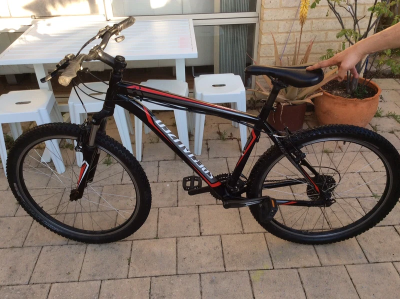 specialized bikes gumtree