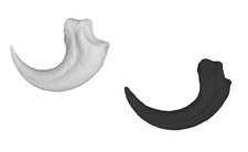 Velociraptor Claw Model Dinosaur Reproduction Plastic Jurassic Park