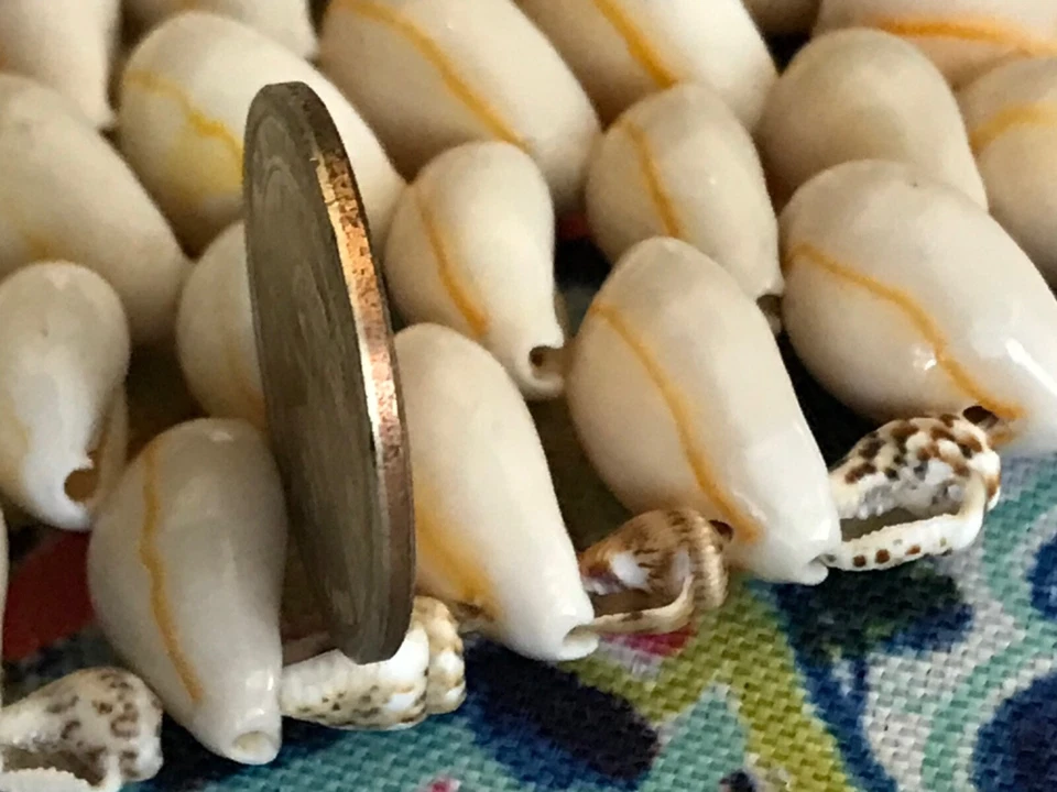 2007 $1 George Washington Presidential coin, ERROR, SMOOTH EDGE,NO DATE OR MINT - Image 3 of 4