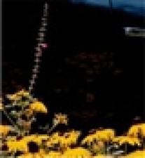 Mystery Street by Yogananthan, Vasantha [Broché sous jaquette]