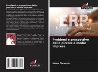 Problemi E Prospettive Delle Piccole E Medie Imprese Idowu Olawoyin Taschenbuch