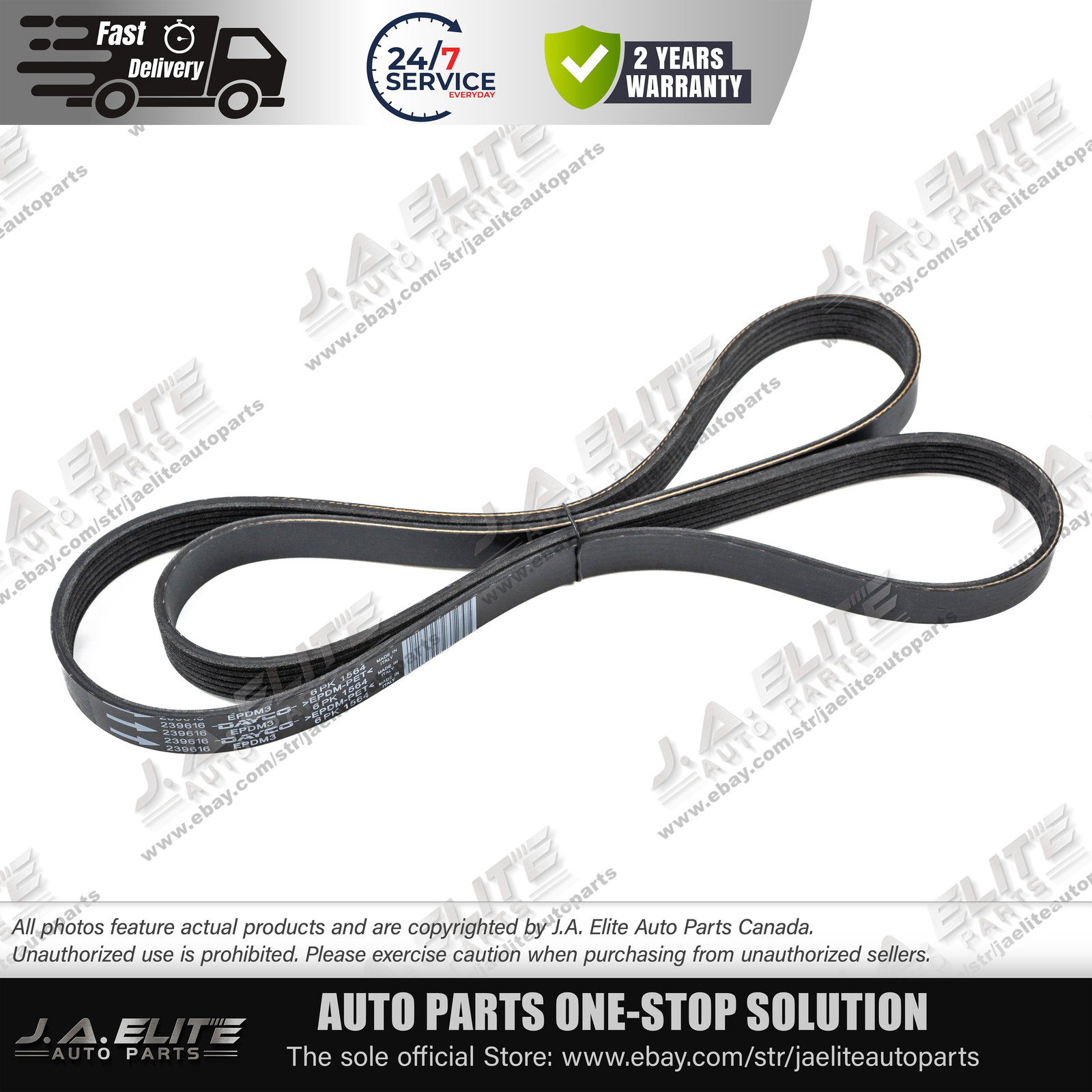 New Genuine Maserati Compressor Serpentine Belt | Quattroporte, GT Part #239616
