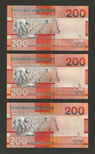 GAMBIA 200 Dalasis 2019 2020 2023, P-42a* 42b* 43* REPLACEMENT "Z", UNC 3x Set - Picture 2 of 2
