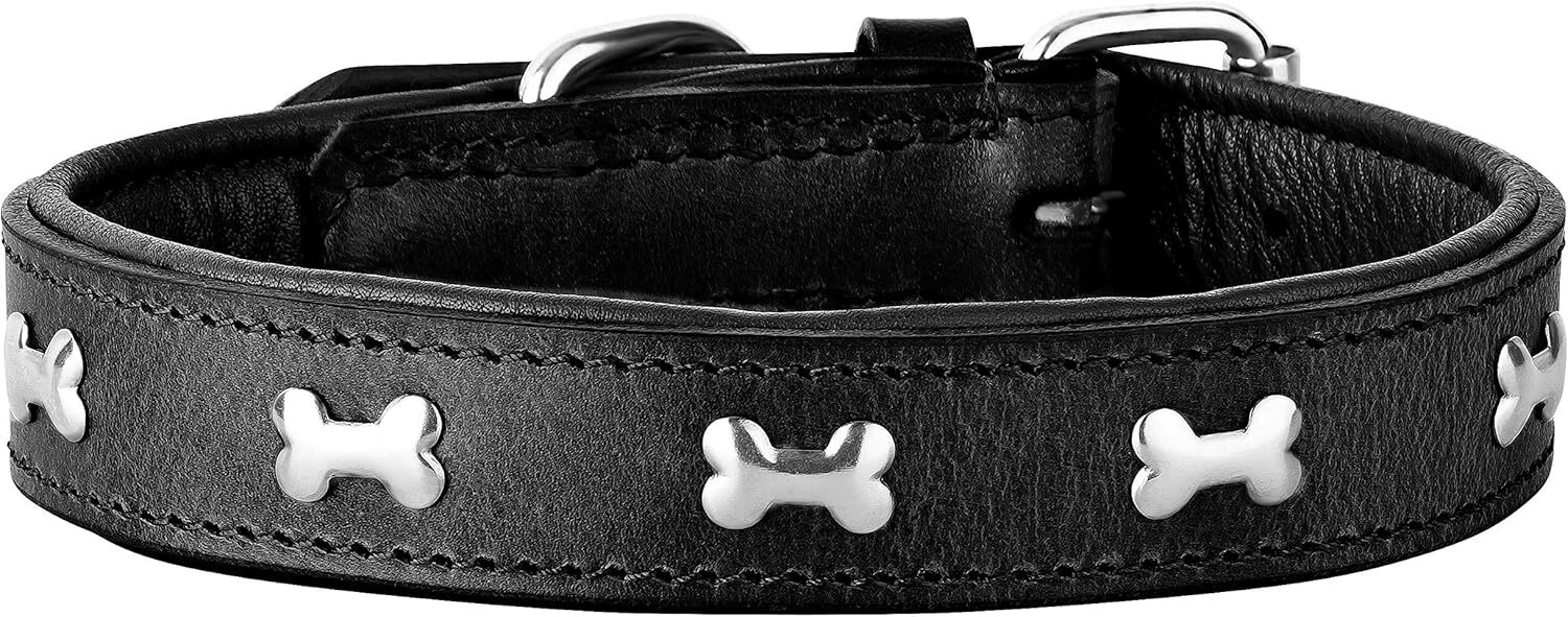 Schnüffelfreunde Hundehalsband aus Leder - Lisa - Schwarz