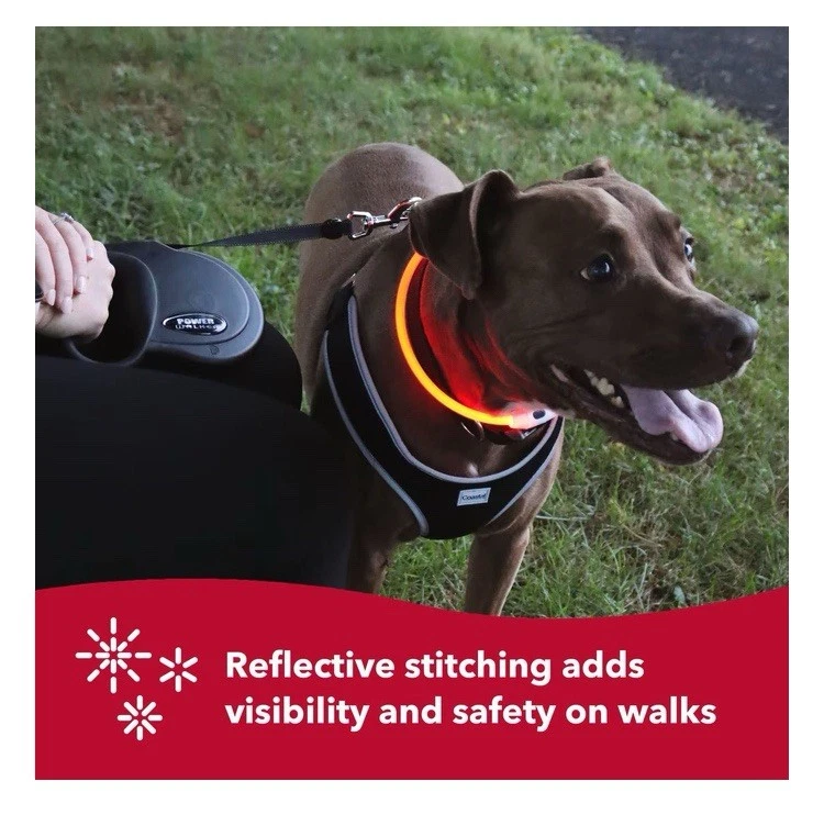 Correa retráctil Power Walker para perro, negra, 16 pies de largo, 1/2 pulgada de ancho, grande Foto 4 de 4