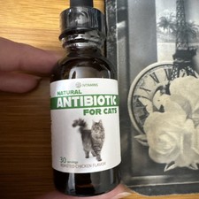 Natural Antibiotics for Cats Cat Supplements Cat Antibiotic 3/28