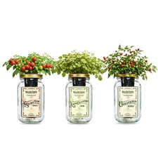 Salsa Garden Mason Jar Kit 3 Pack Tomato Cila...